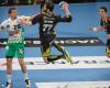 EHF Cup Finals: Damir Bicanic (Chambery) im Halbfinale gegen Gppingen