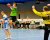 SG insignis Handball Westwien, Sieg HB-Cup in Leoben