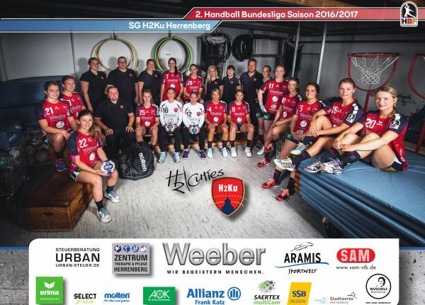 Die Mannschaft der SG H2Ku Herrenberg aus der Saison 2016/2017