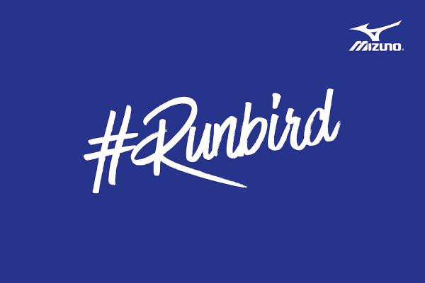 Mizuno-Markenbotschafter gesucht: handball-world.com vergibt einen Platz im Team #runbird