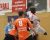 Heide-Cup 2013, Kevynn Nyokas, Chambery Savoie HB, Samstag/3.Spiel