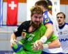 Fabian Posch - SG Insignis Handball Westwien