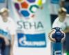 SEHA League excluded Vardar Skopje and invited PPD Zagreb