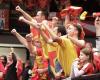 EURO 2020, Wien, 10.1.2020, Nordmazedonien - Ukraine, MKD - UKR: Mazedonische Fans jubeln über den knappen Sieg in letzter Sekunde