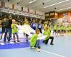 SG Insignis Handball Westwien