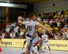 Ante Esegovic, Bregenz Handball