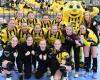 Jubel Borussia Dortmund - Einzug Gruppenphase EHF European League