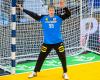Till Klimpke hütete im April noch das DHB-Tor - auf der 35er-Liste für die Handball-EM im Januar fehlt er aber.