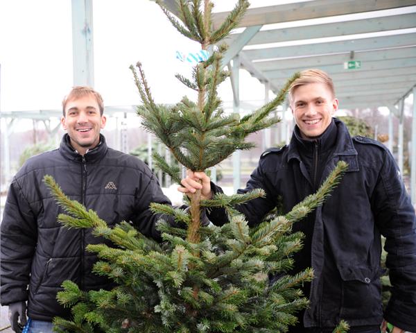 Weihnachtsbaumverkauf 2012 ASV Hamm-Westfalen Dirk Hartmann und Sebastian Paul