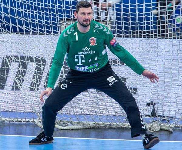 Arpad Sterbik, Telekom Veszprem HC, Veszprem Handball Team